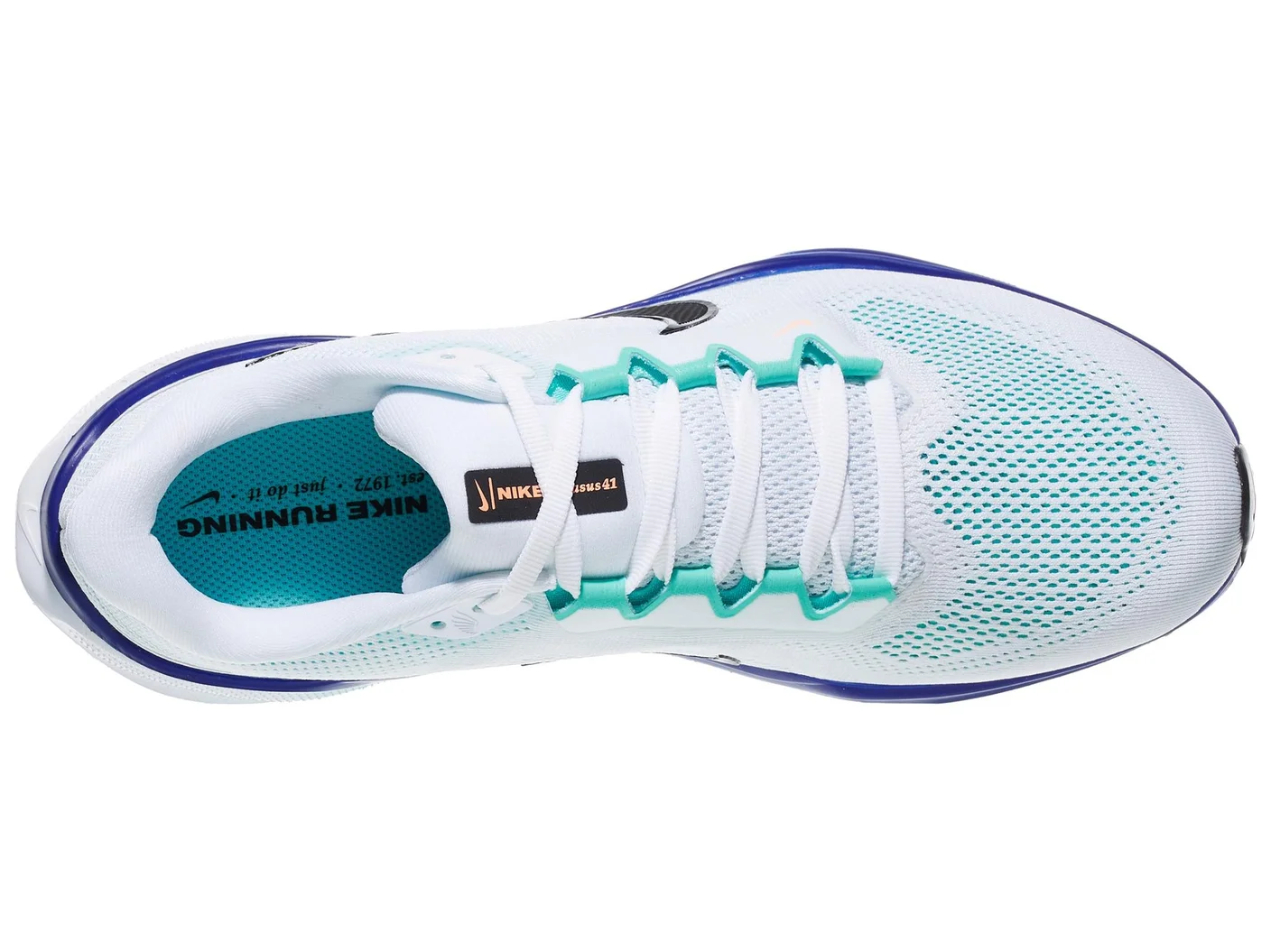 Pegasus 41 view 3