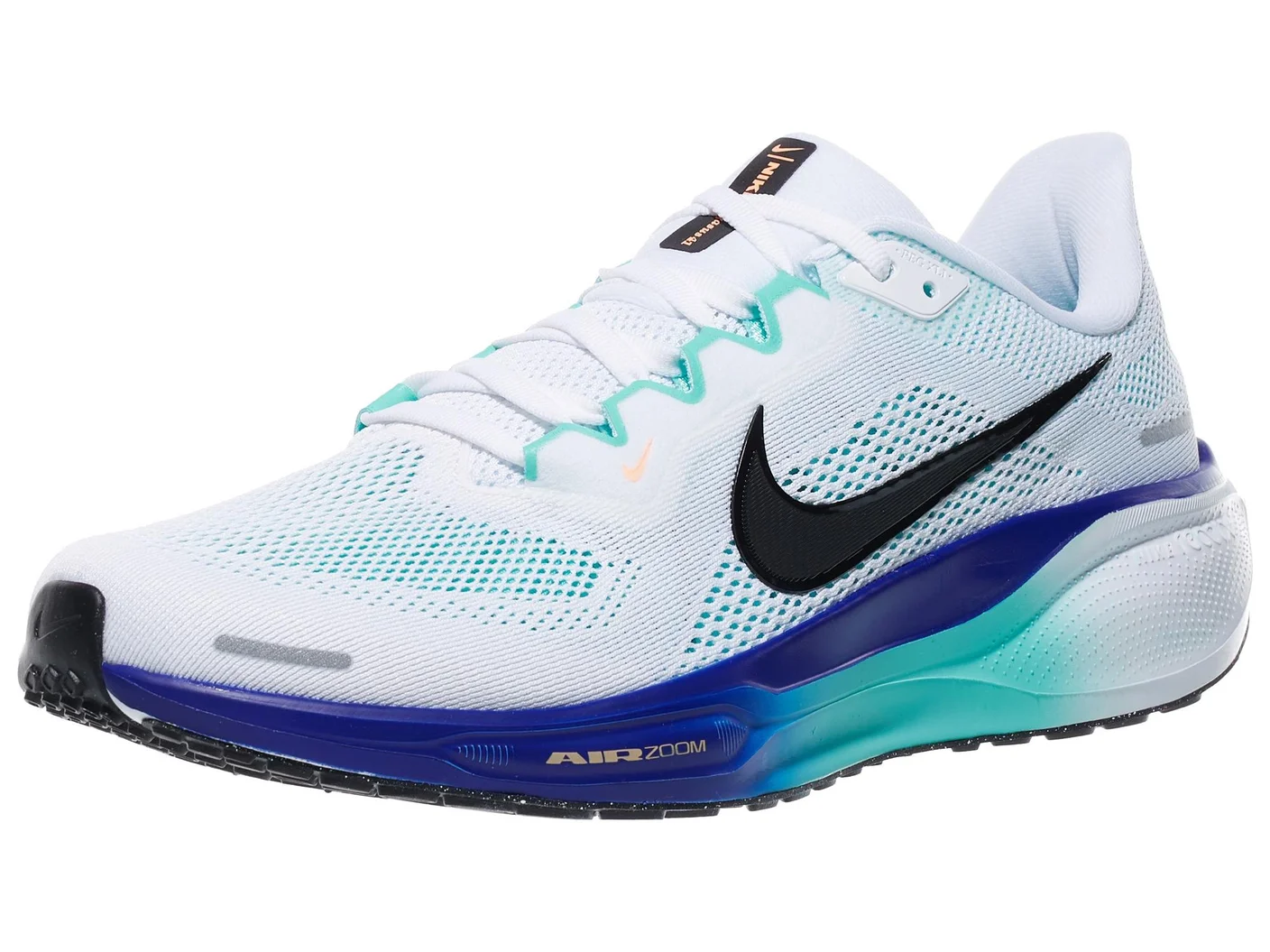 Pegasus 41