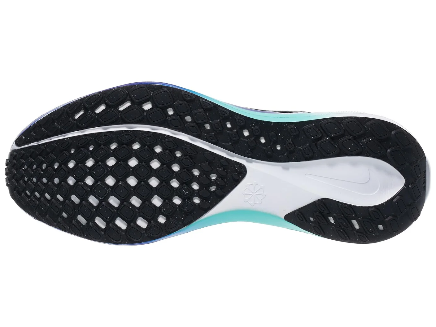 Pegasus 41 view 4
