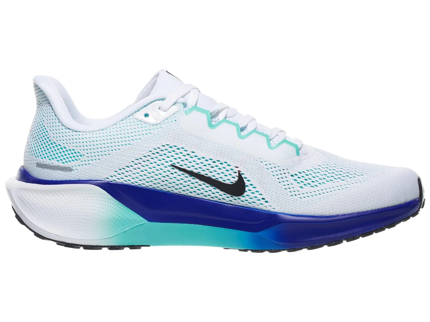 Pegasus 41 view 2